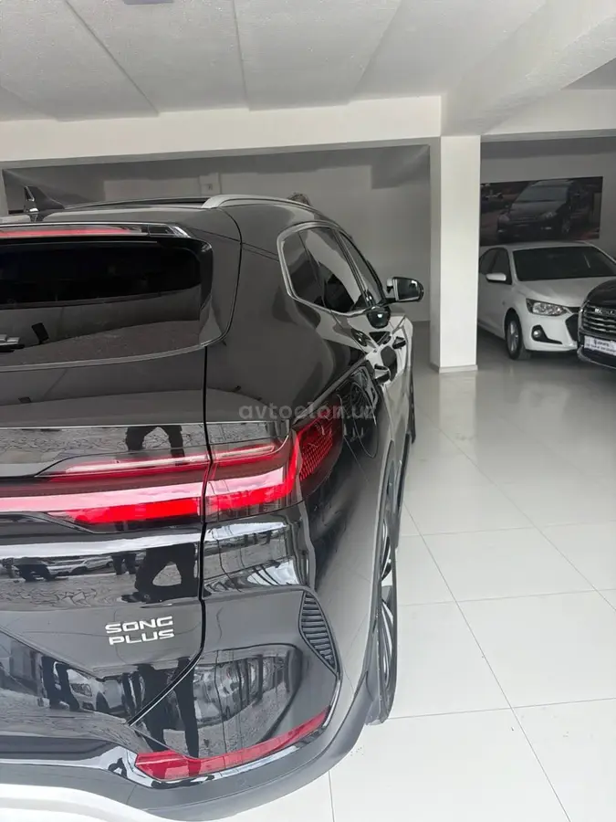 BYD Song Plus DM-i Champion — 3