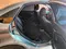 Мокрый асфальт ВАЗ (Lada) Vesta 2019 года, КПП Механика, в Фергана за ~7 473 y.e. id5320085