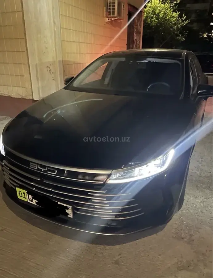 BYD Chazor